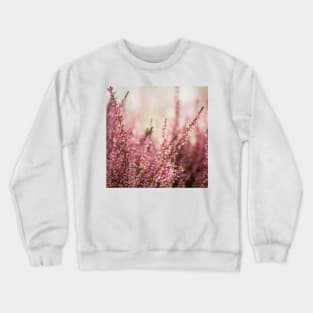 Calluna Crewneck Sweatshirt